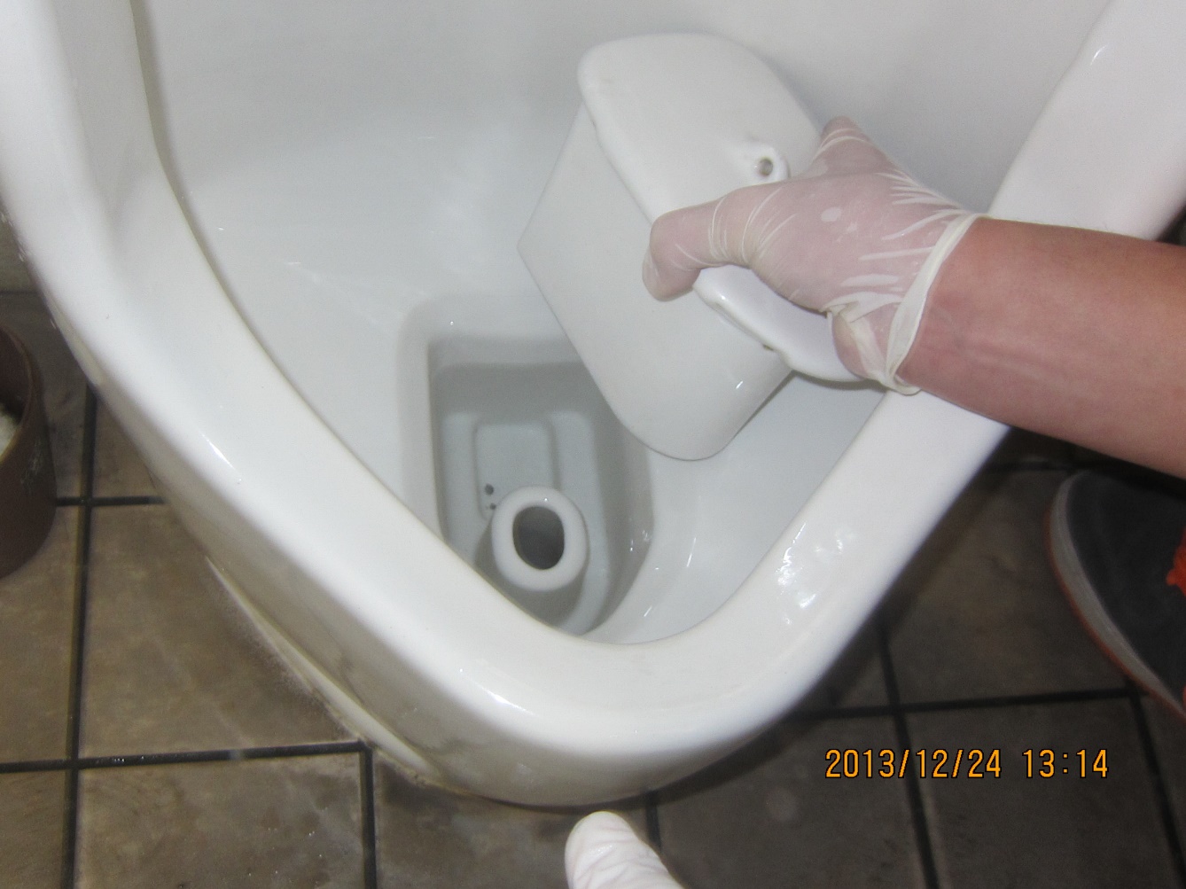 トイレが生まれ変わる　防虫・生活衛生　アレルギー予防　害虫駆除　熊本サクドリー