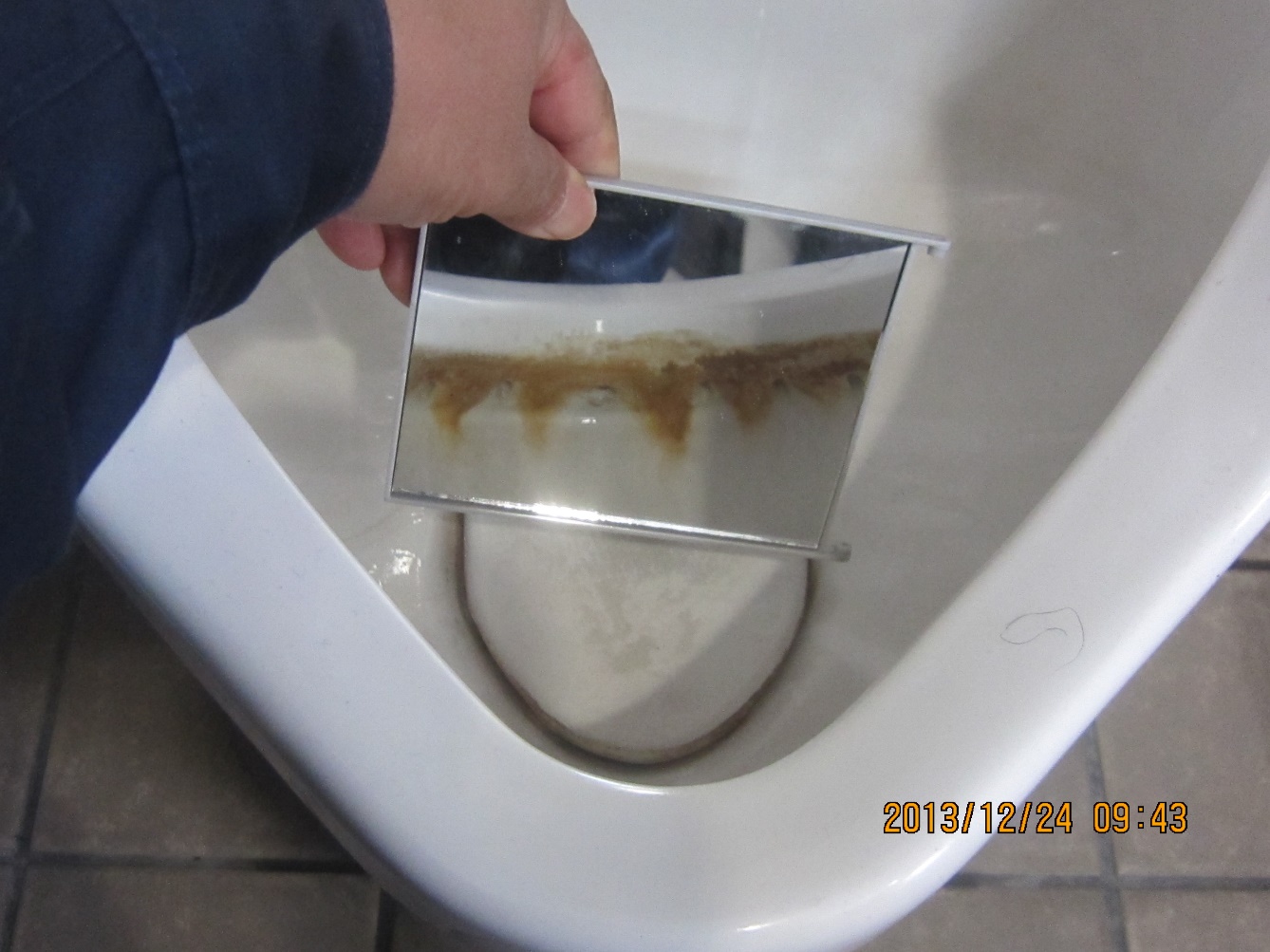 トイレ　見えない汚れ　防虫・生活衛生　アレルギー予防　害虫駆除　熊本サクドリー