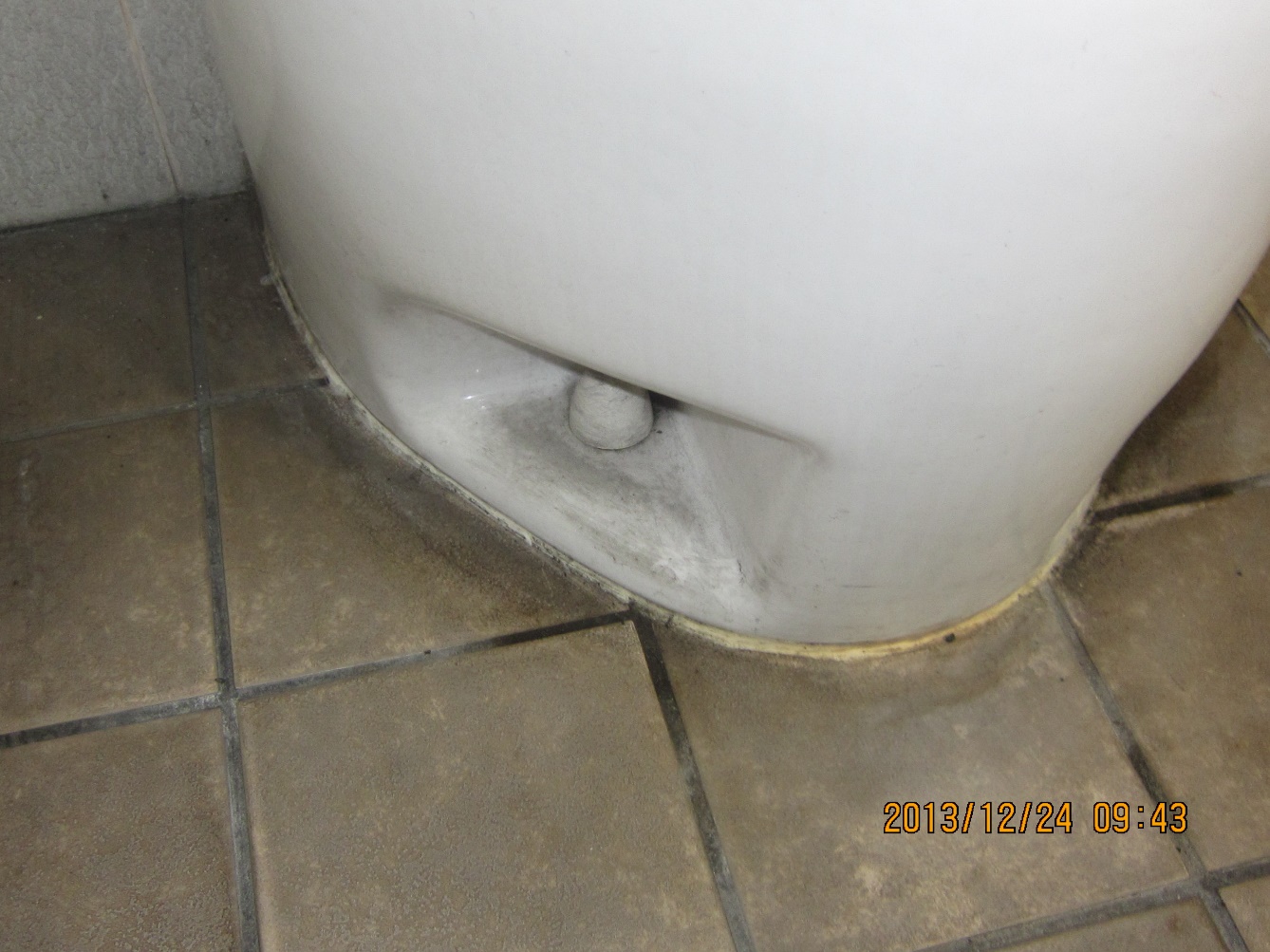 トイレ　隅々まで綺麗　防虫・生活衛生　アレルギー予防　害虫駆除　熊本サクドリー