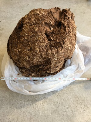 20201201_013023413_iOS